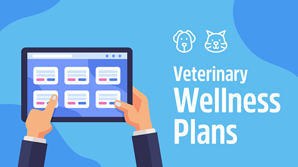 wellness programs in veterinary  pratices